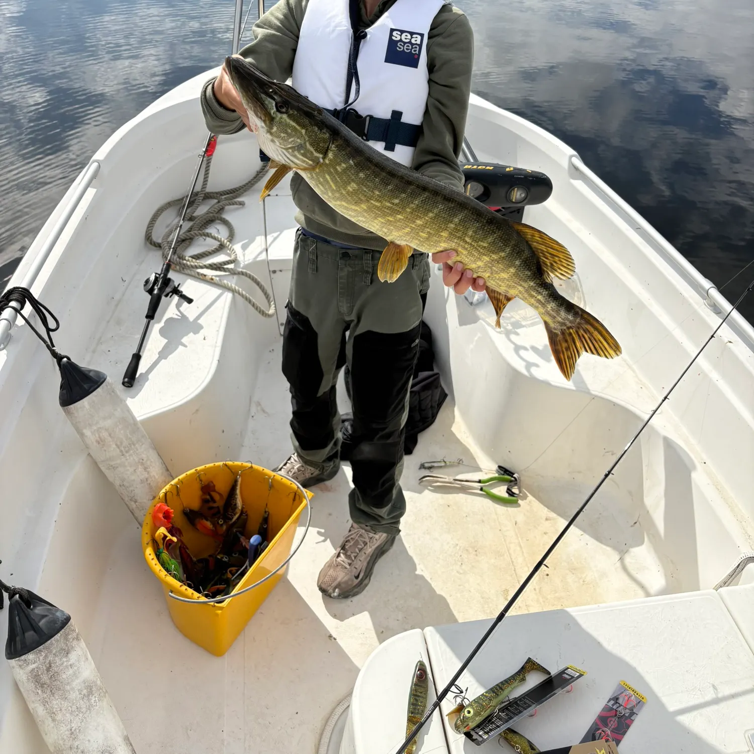 Northern pike caught on Fishbrain