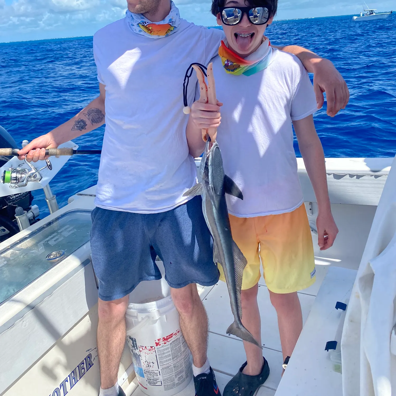 The most recent Live sharksucker catches on Fishbrain