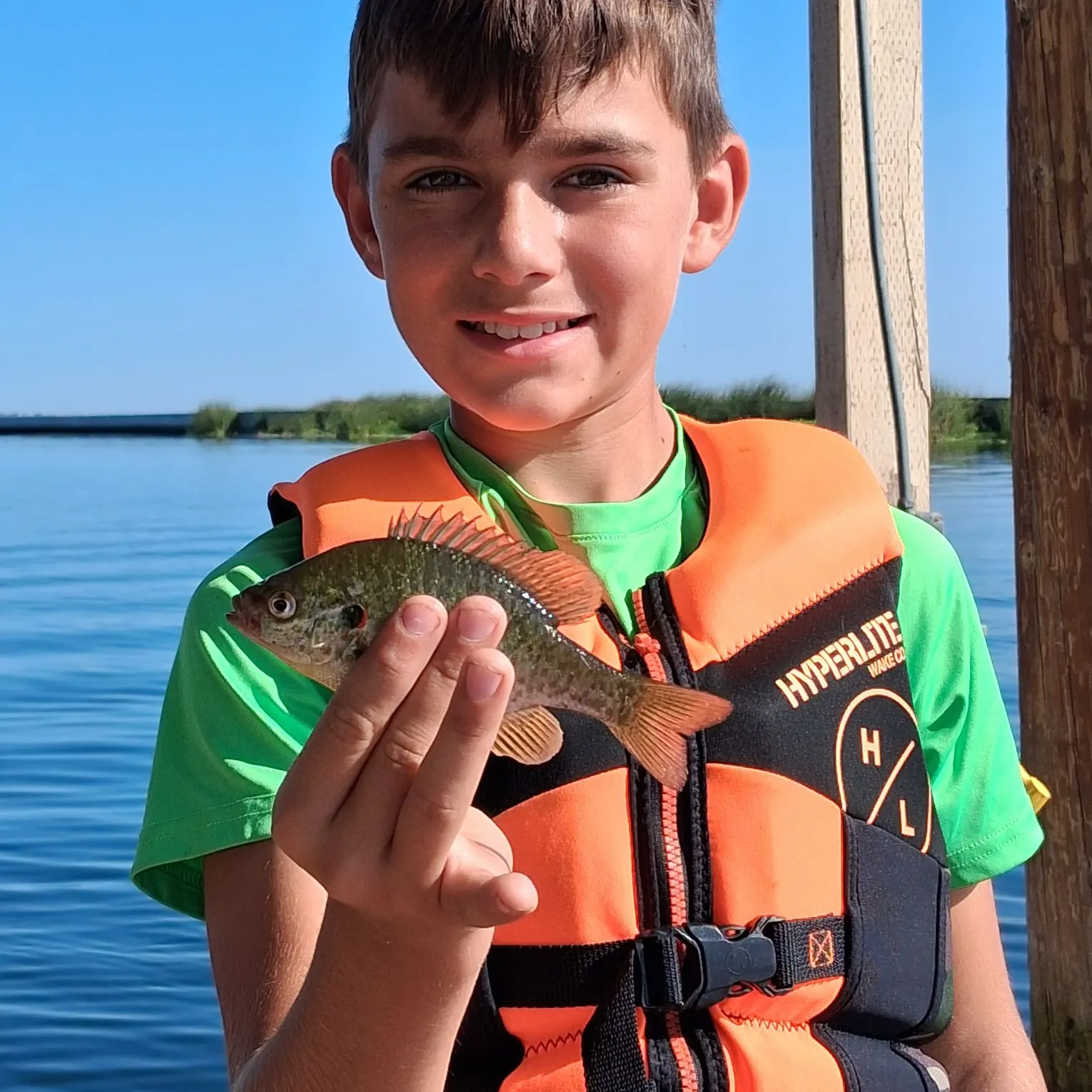 The most recent Bluegill catches on Fishbrain