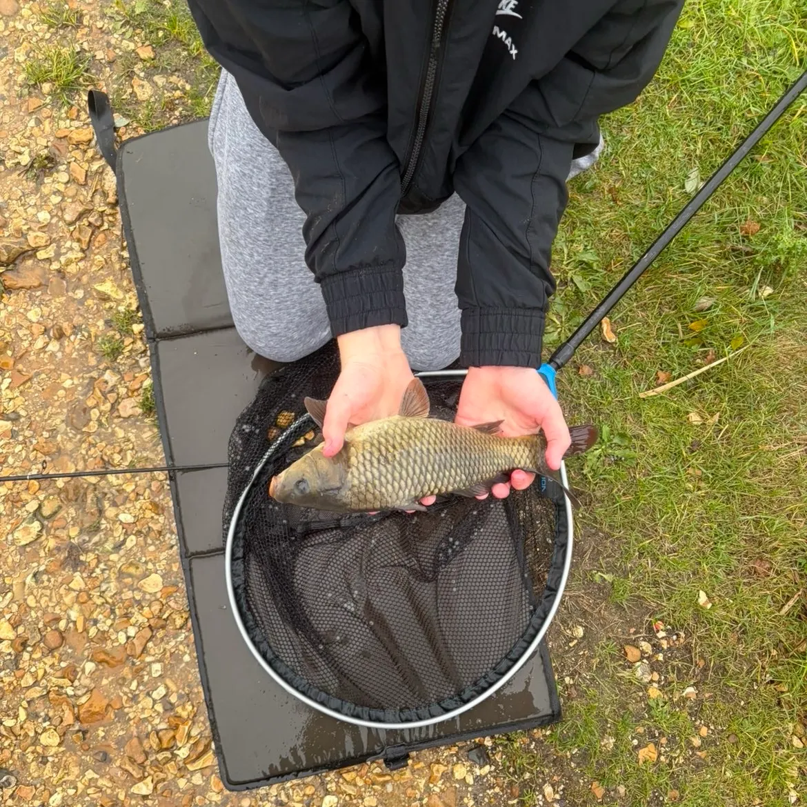 Common carp caught on Fishbrain