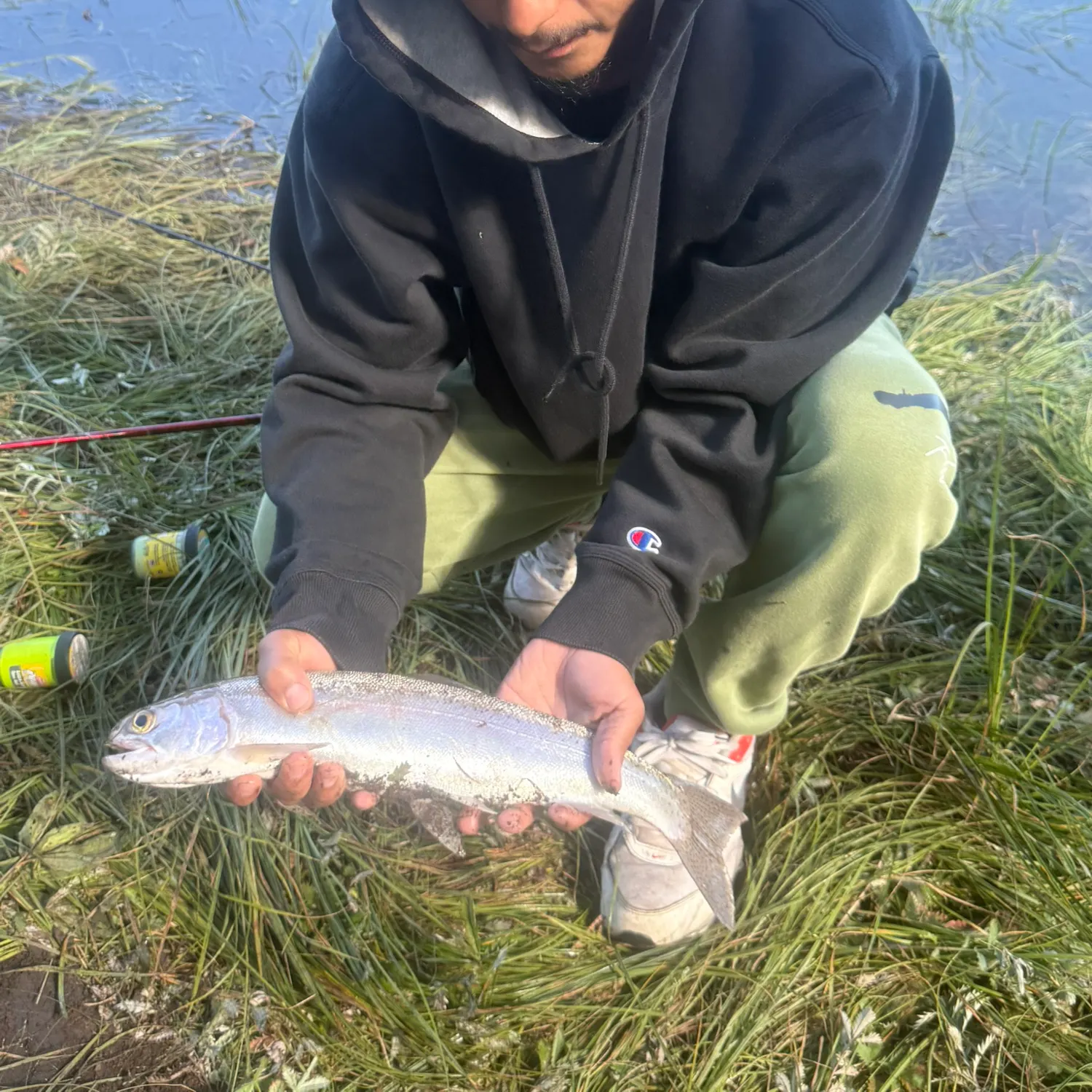 Rainbow trout caught on Fishbrain