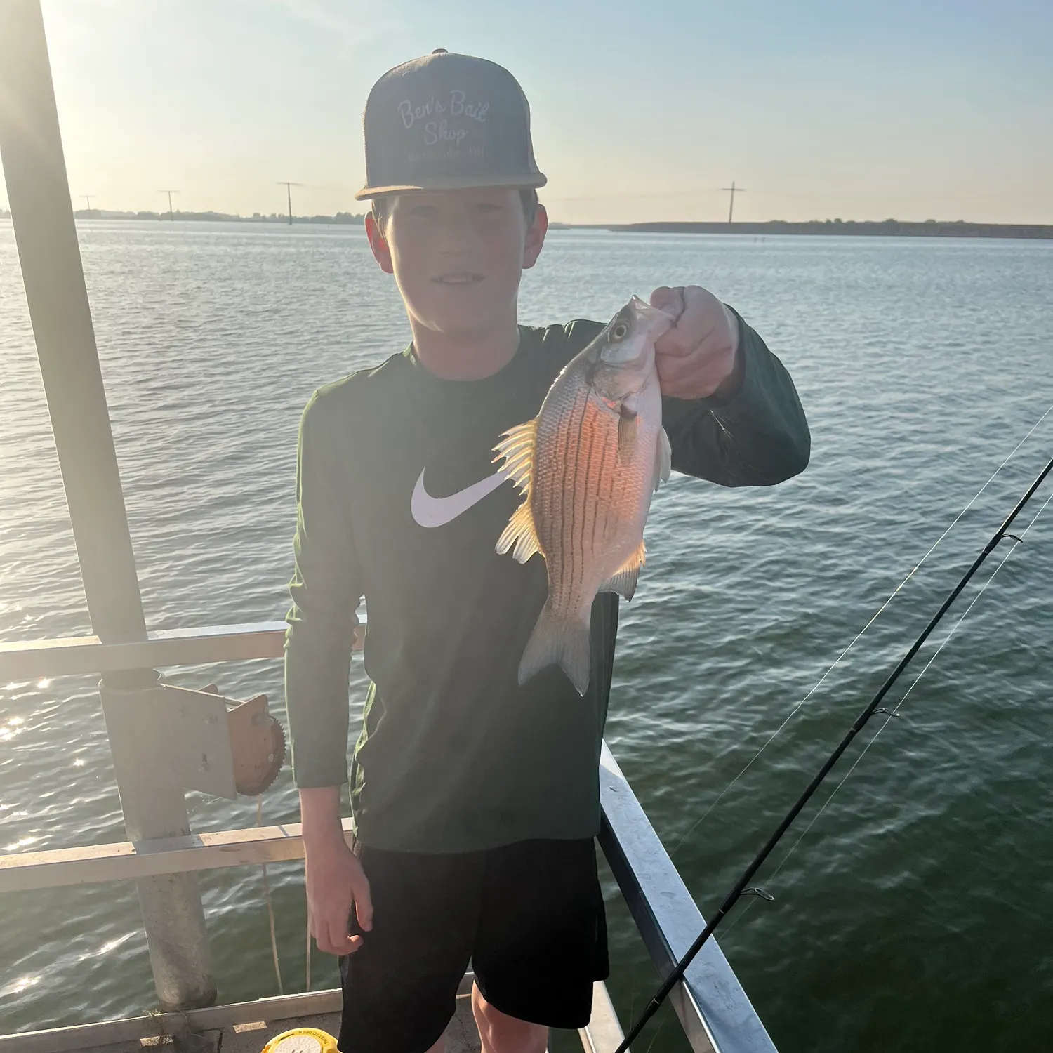 White bass caught on Fishbrain