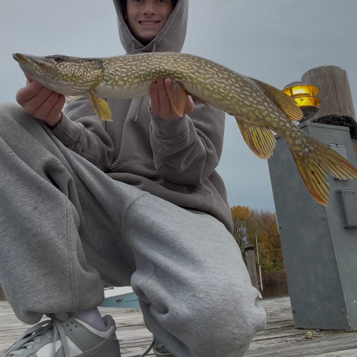 Northern pike caught on Fishbrain