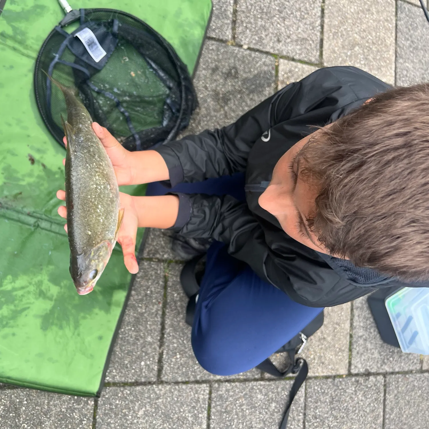 The most recent White bream catches on Fishbrain