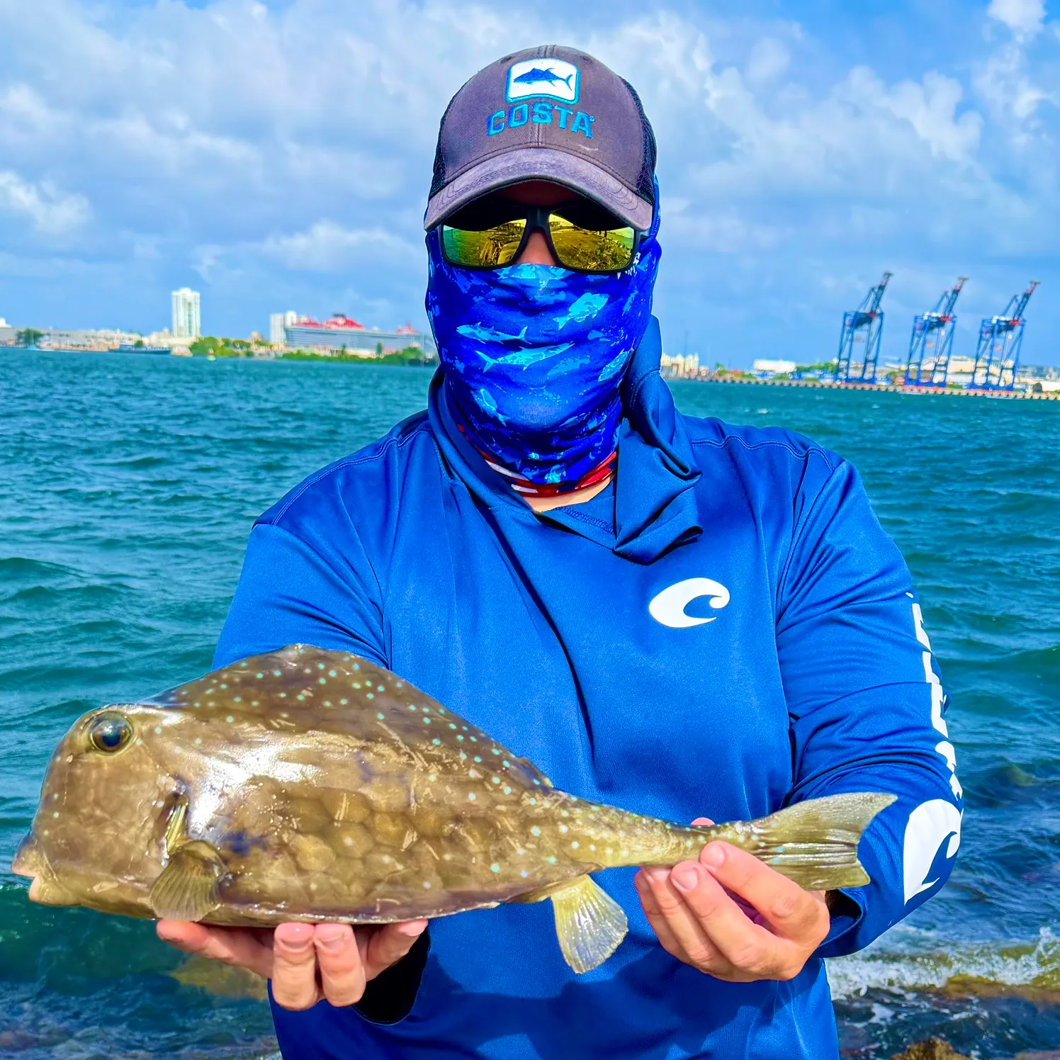 The most recent Smooth trunkfish catches on Fishbrain