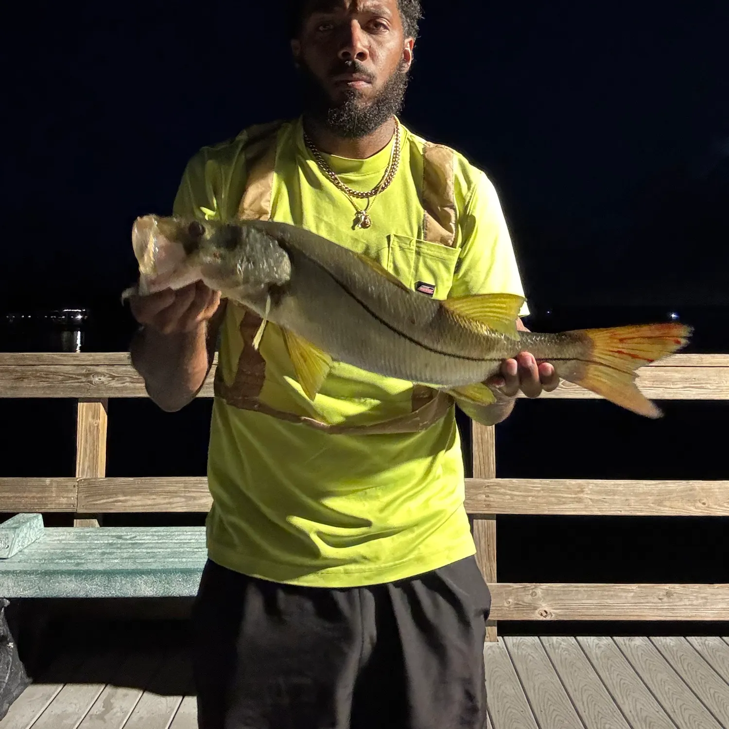 Common snook caught on Fishbrain