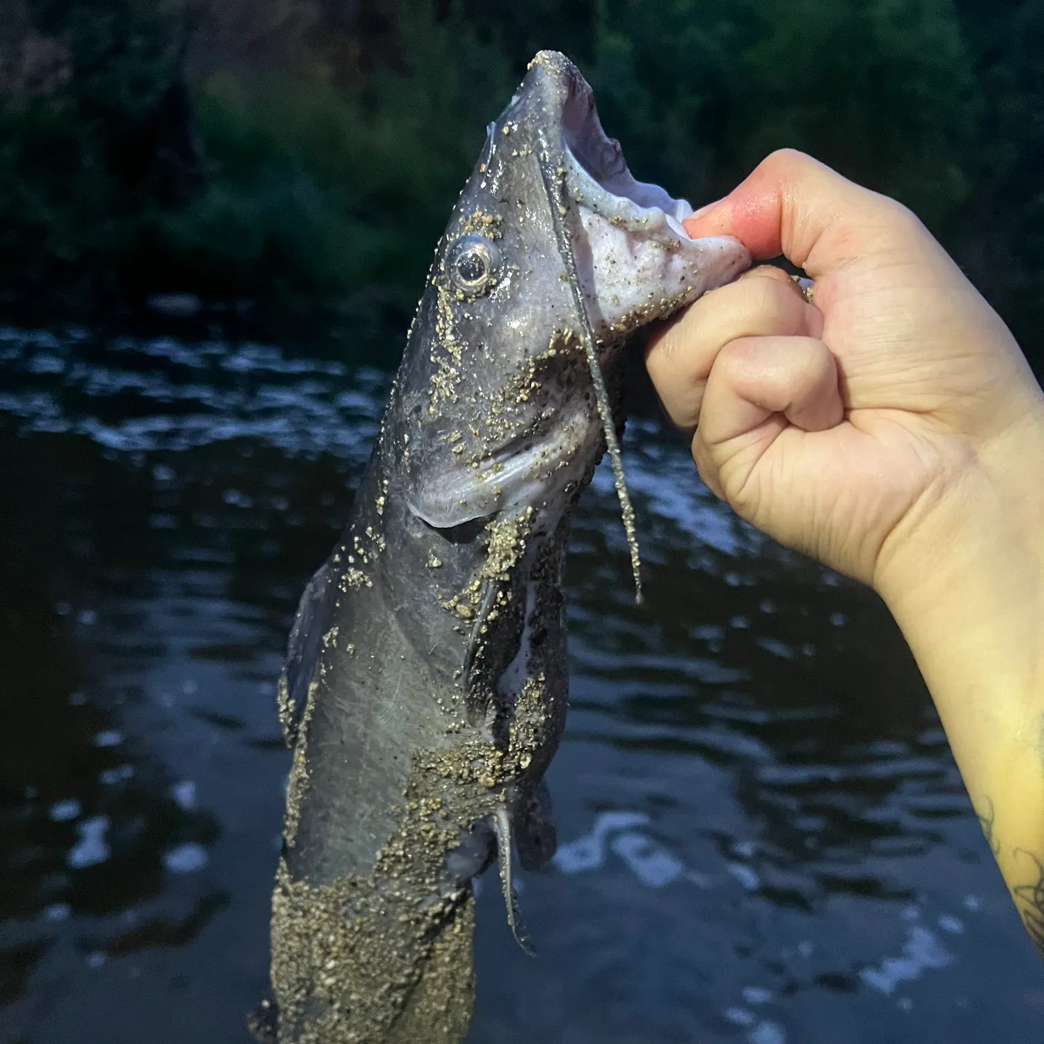 catch