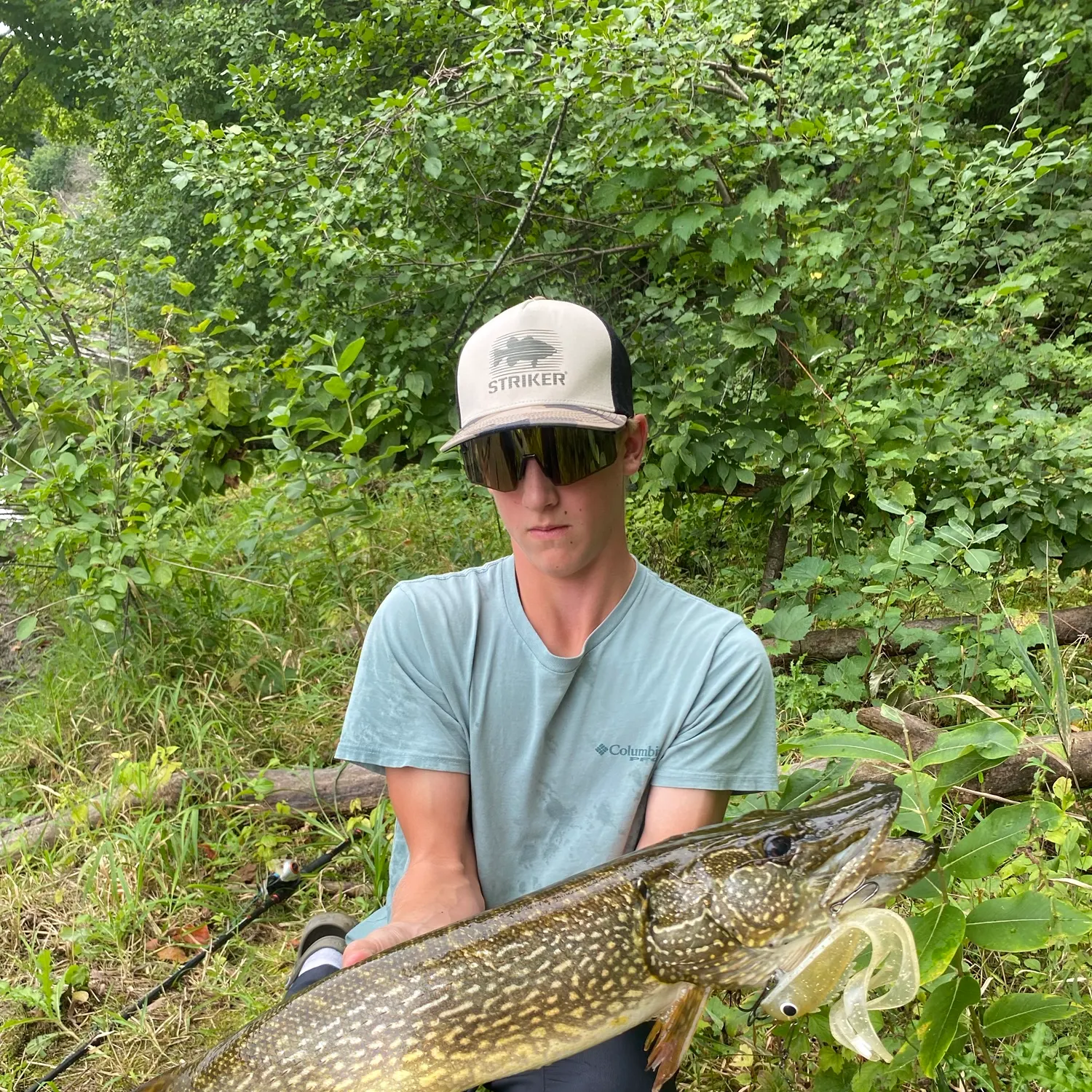 Northern pike caught on Fishbrain