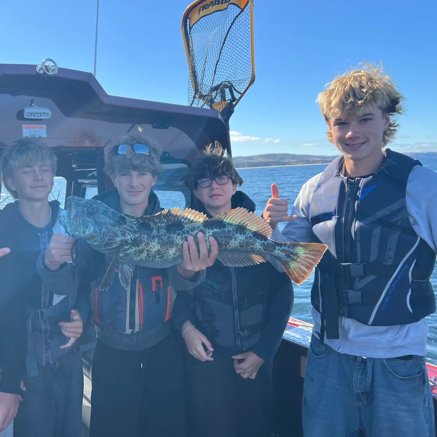 The most recent Lingcod catches on Fishbrain