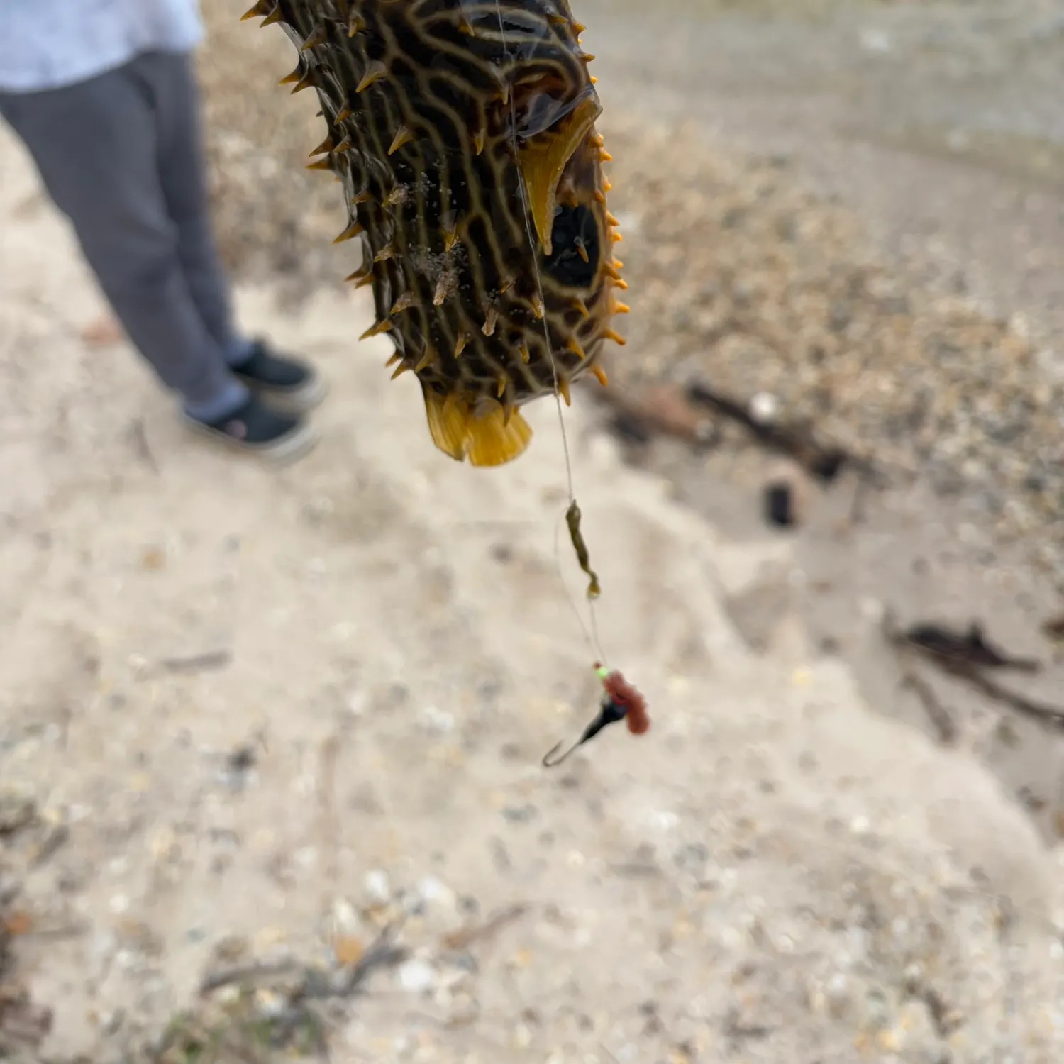 catch