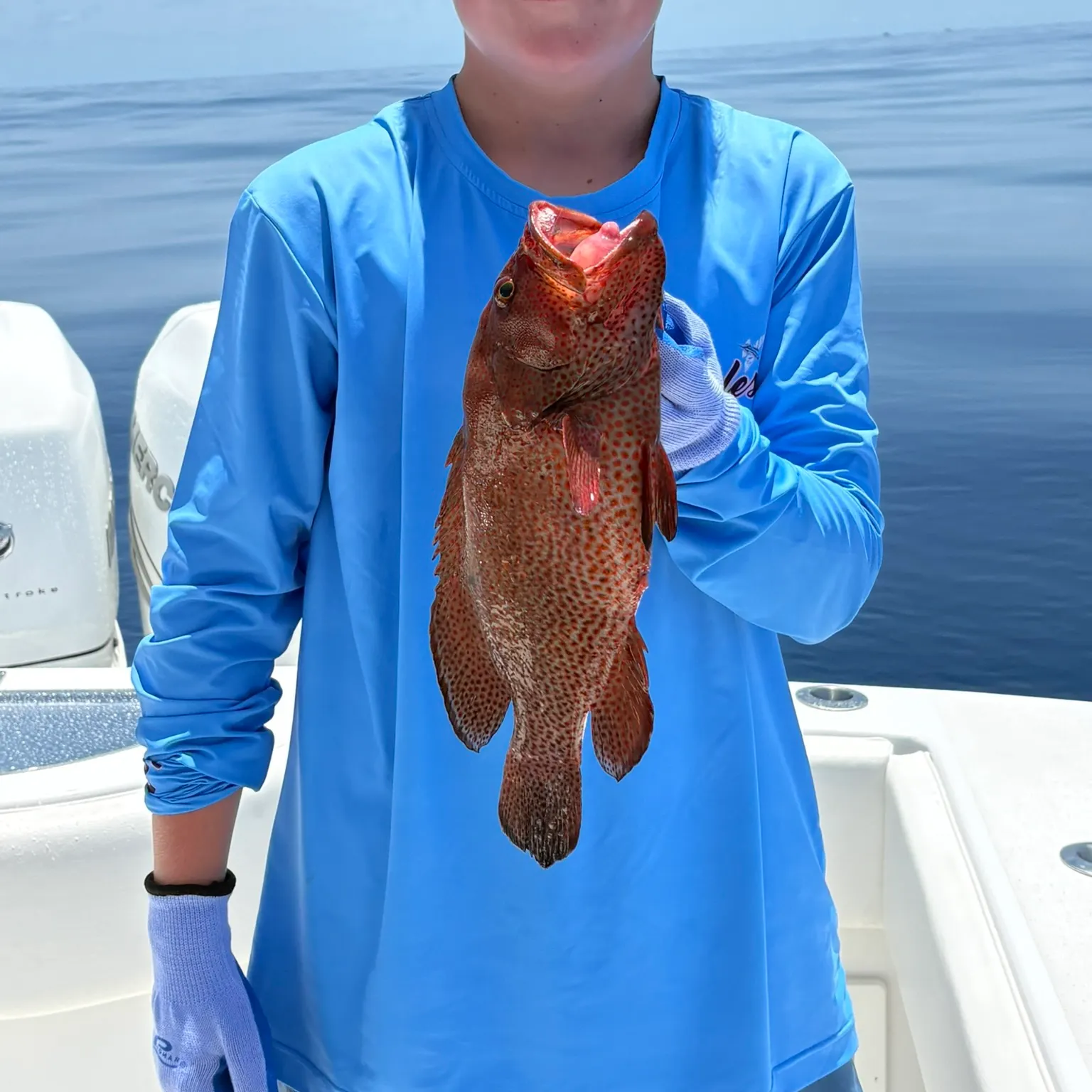 The most recent Speckled hind catches on Fishbrain