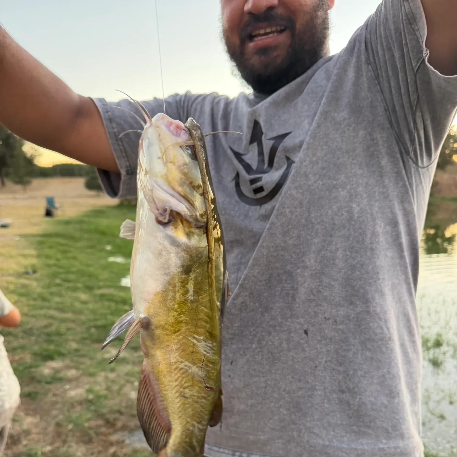 Black bullhead caught on Fishbrain