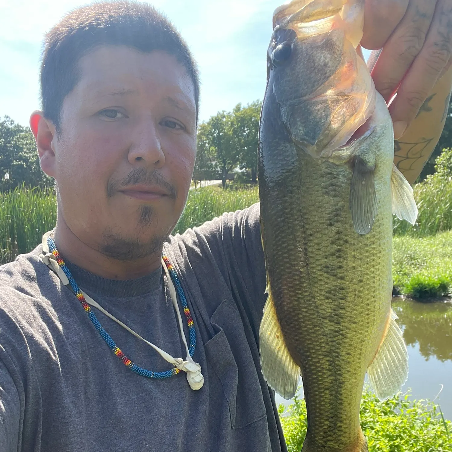 Largemouth bass caught on Fishbrain