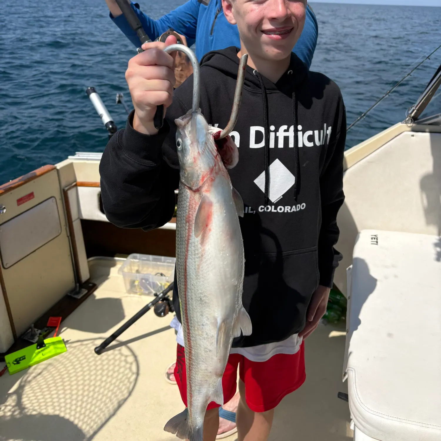 The most recent Northern cisco catches on Fishbrain