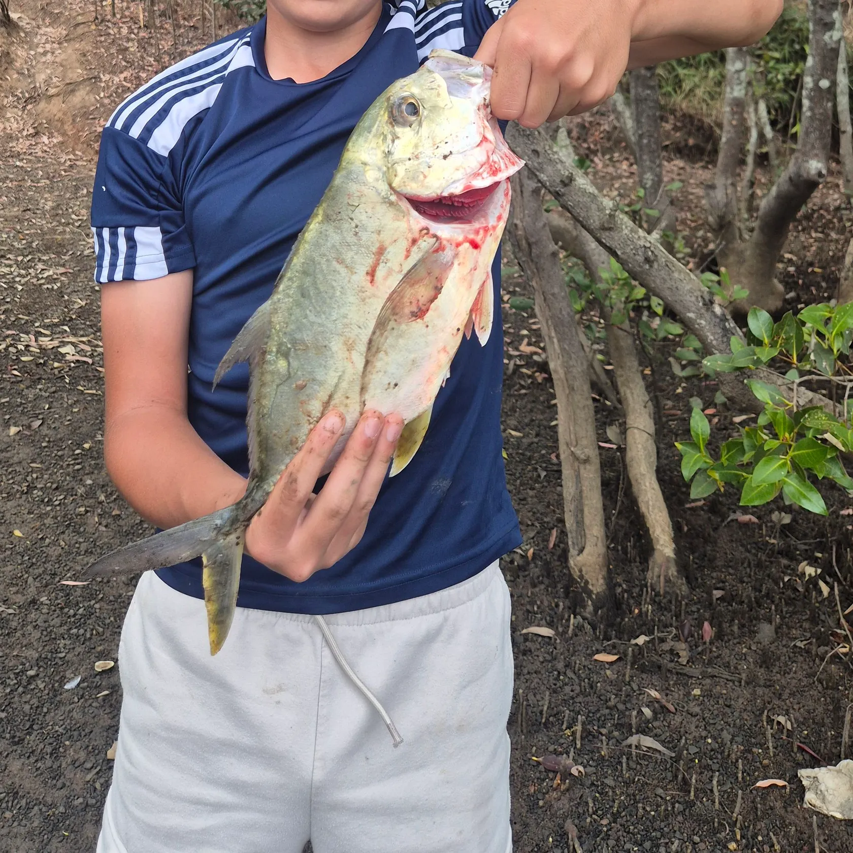 Giant trevally caught on Fishbrain