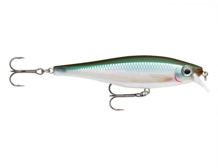 BX Minnow