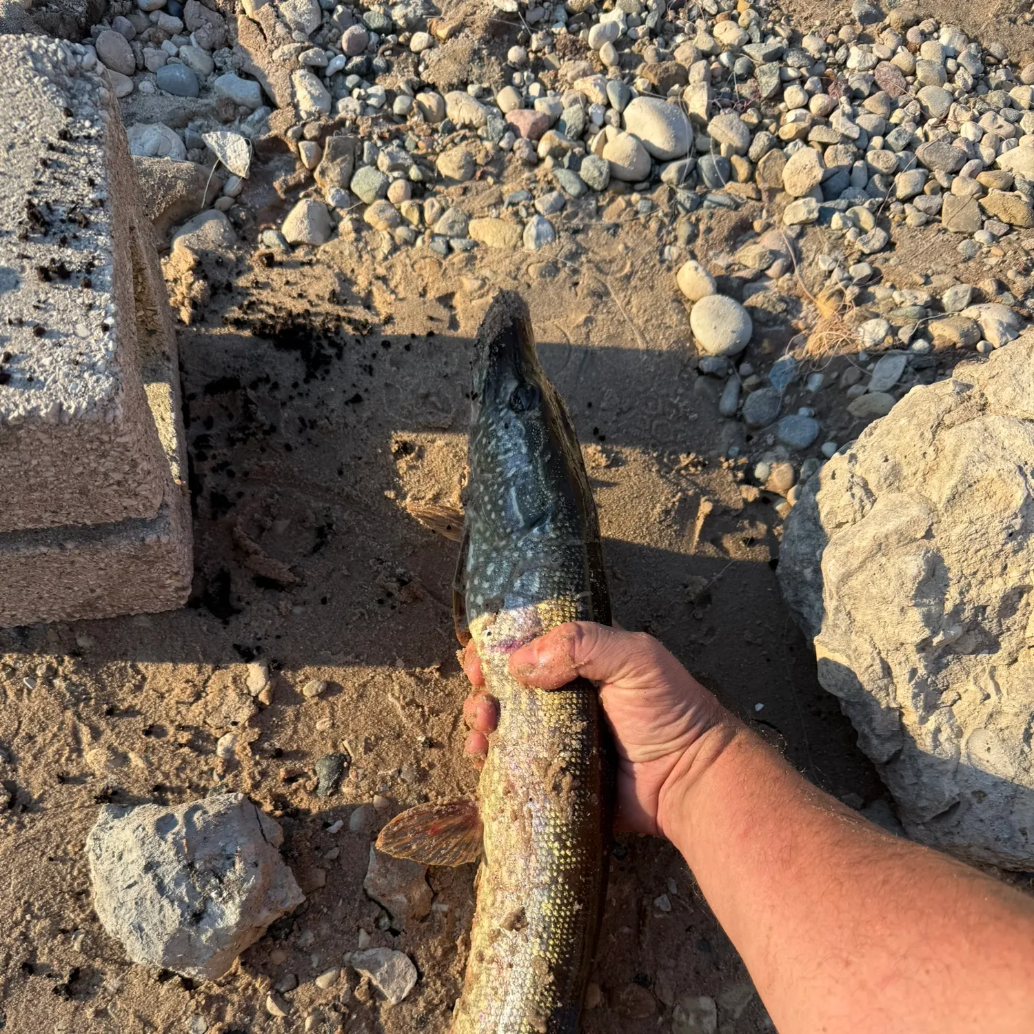 catch