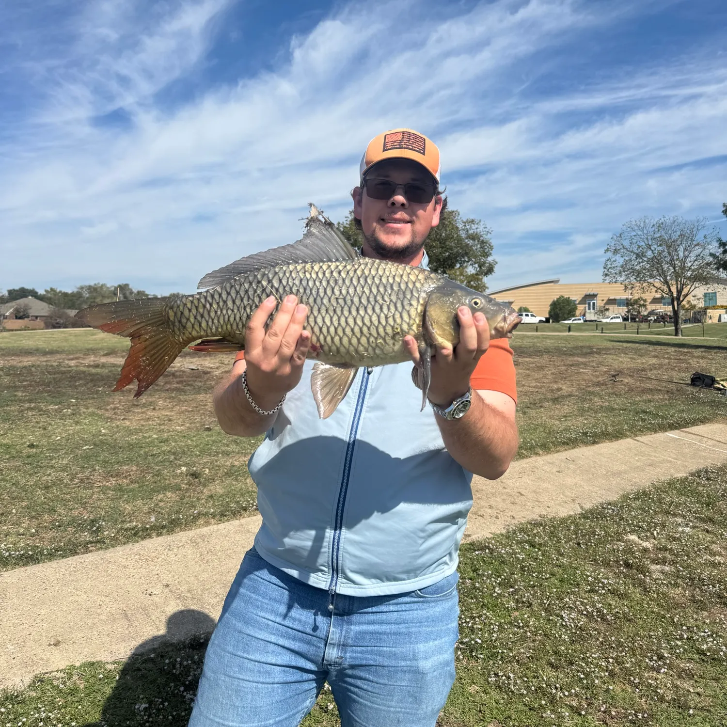 Common carp caught on Fishbrain