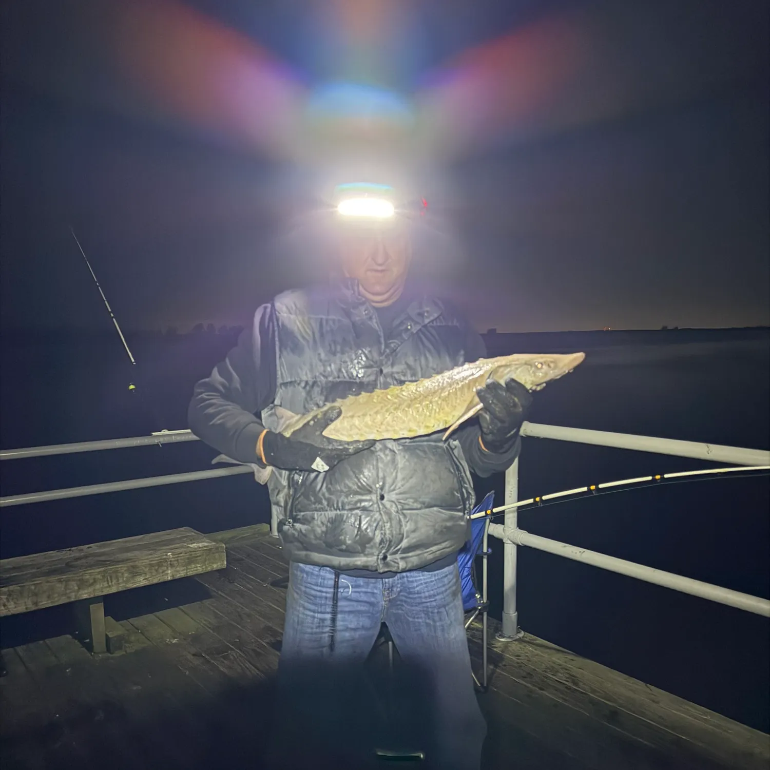 Lake sturgeon caught on Fishbrain
