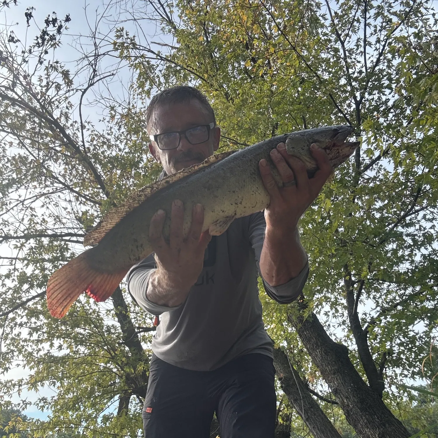 Eyetail bowfin caught on Fishbrain