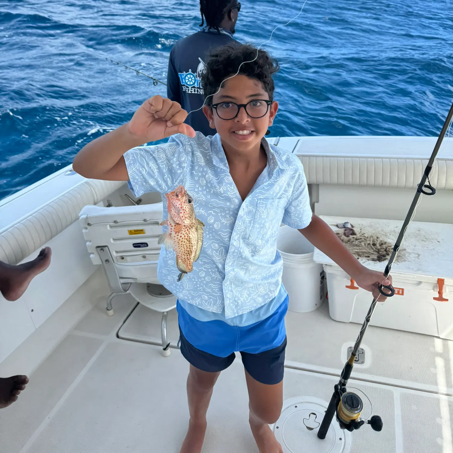The most recent Areolate grouper catches on Fishbrain