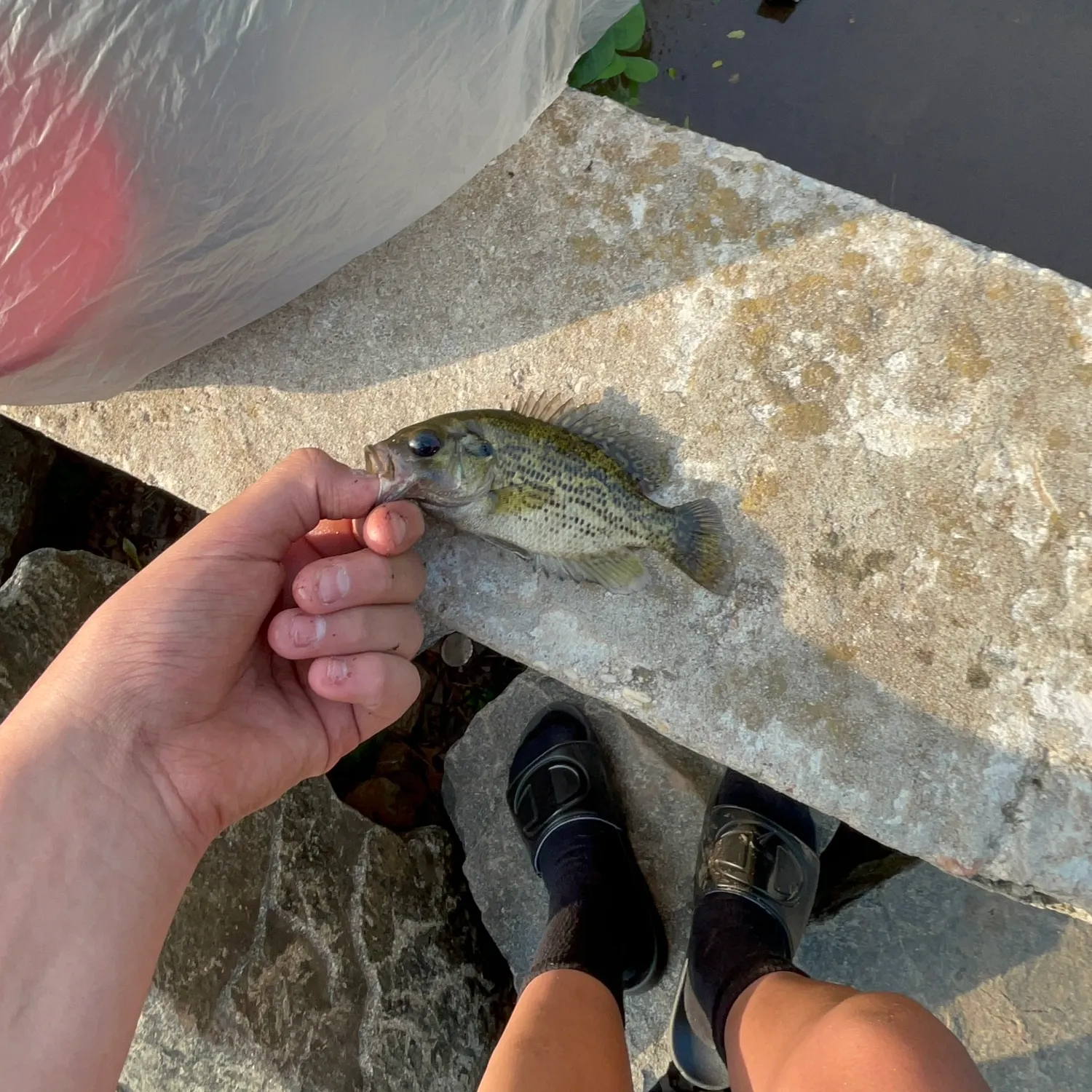 catch