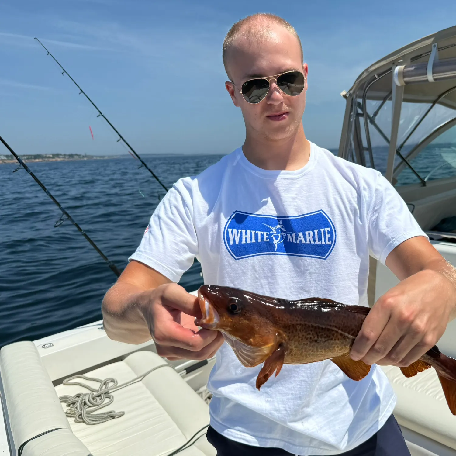 The most recent Atlantic cod catches on Fishbrain