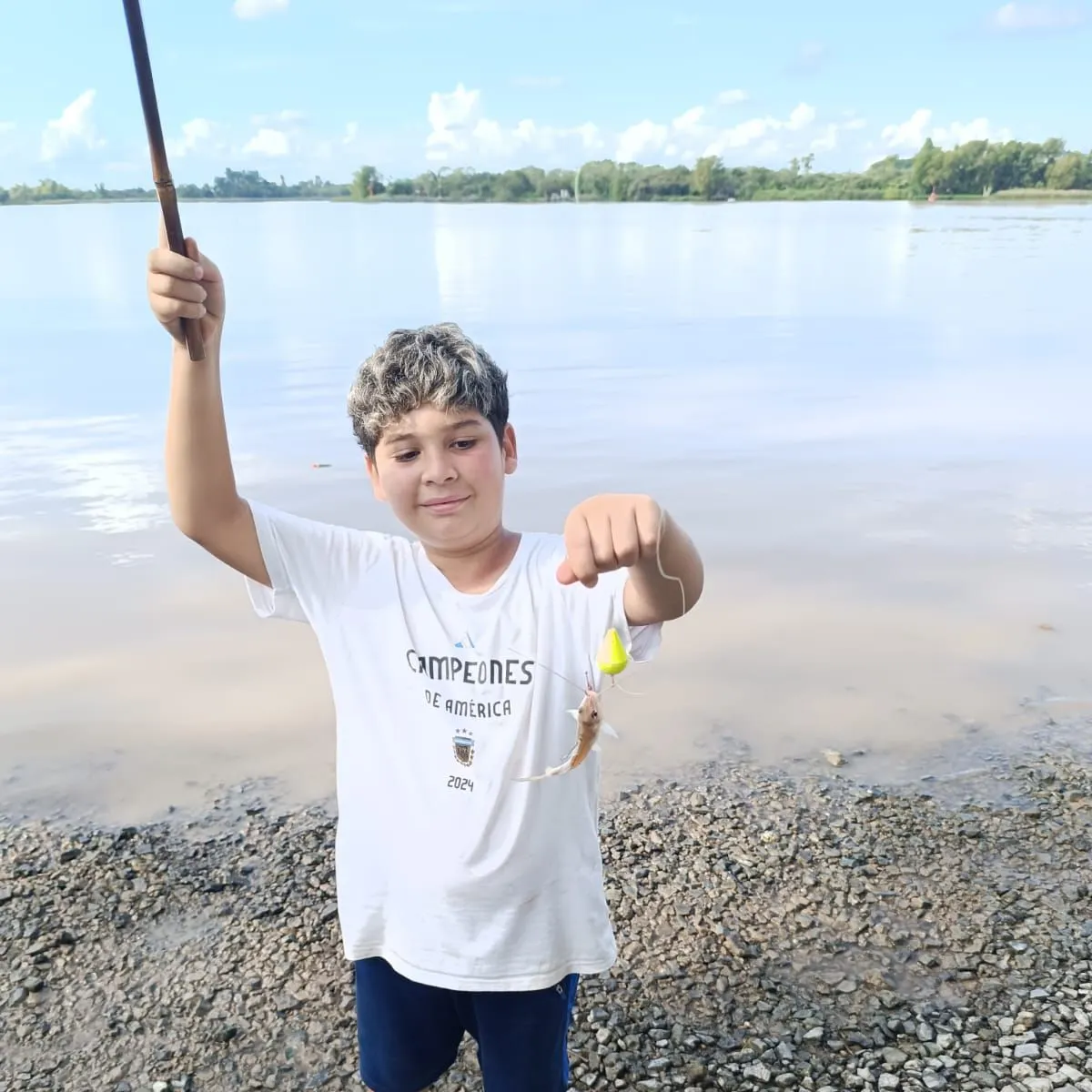 The most recent White pimelodus catches on Fishbrain