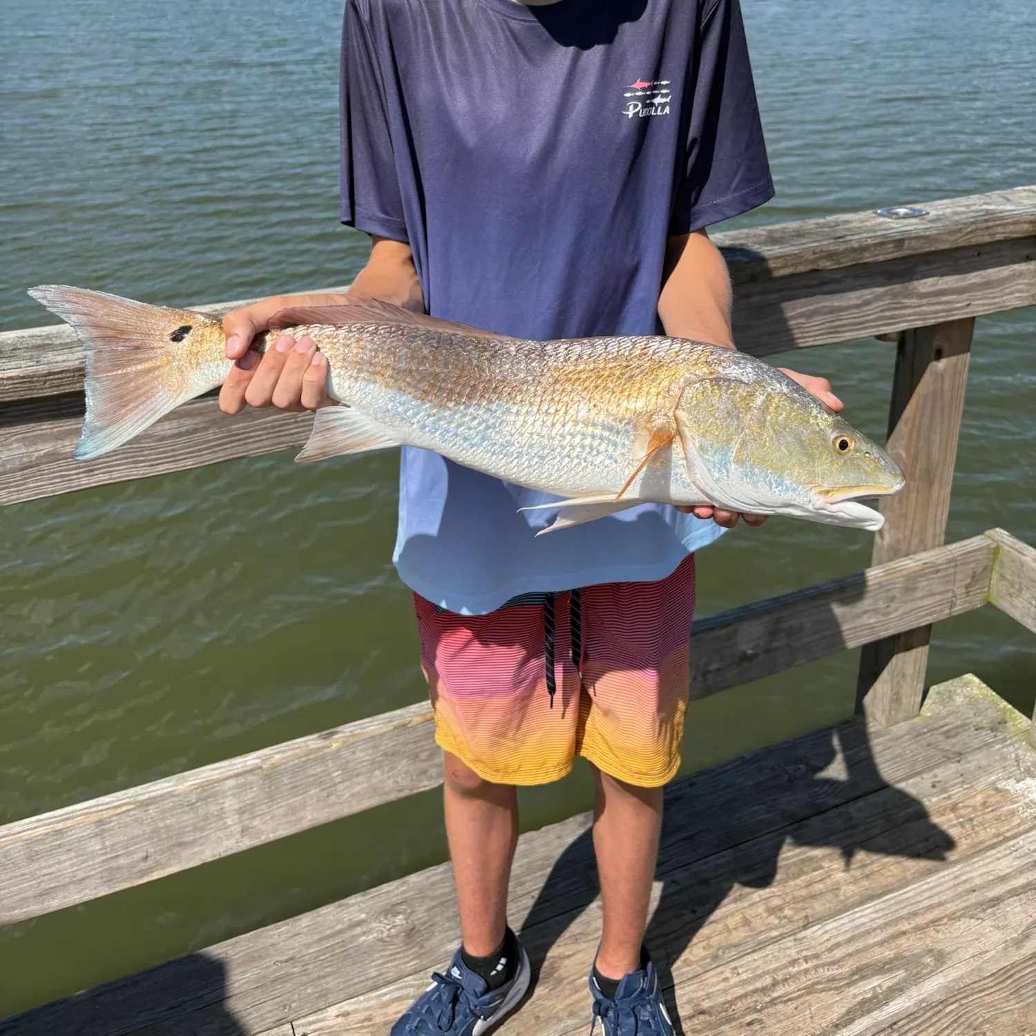 Red drum caught on Fishbrain