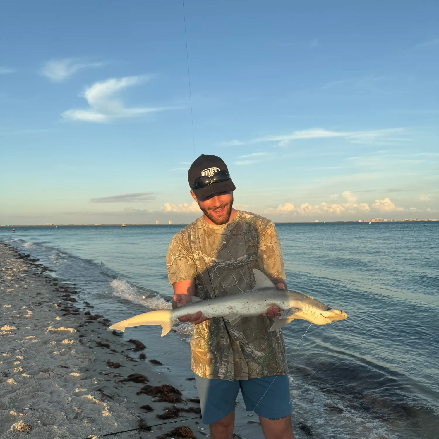 The most recent Bonnethead shark catches on Fishbrain