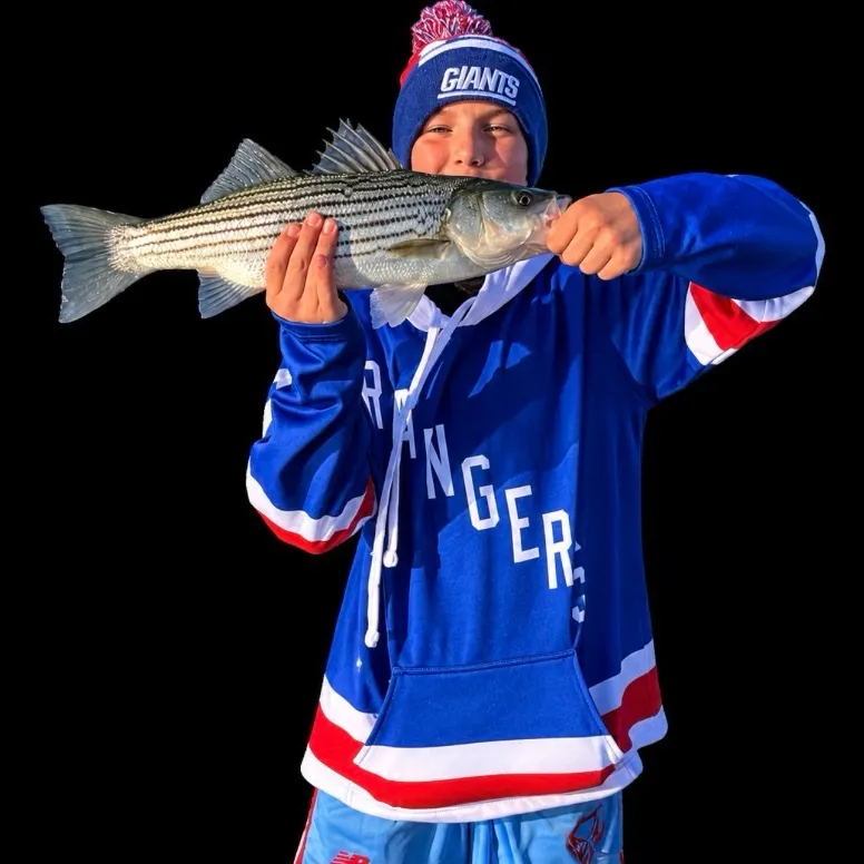 Striped bass caught on Fishbrain
