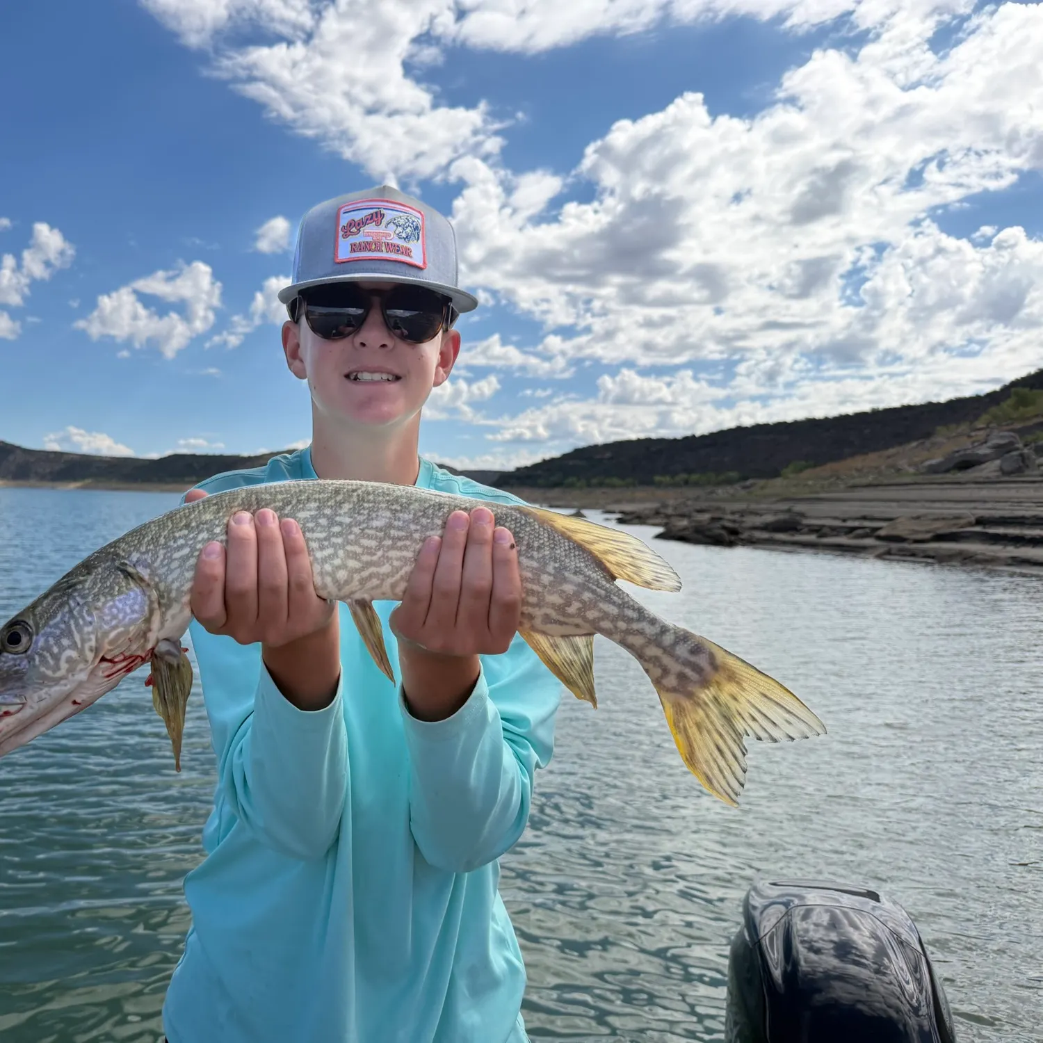 Northern pike caught on Fishbrain
