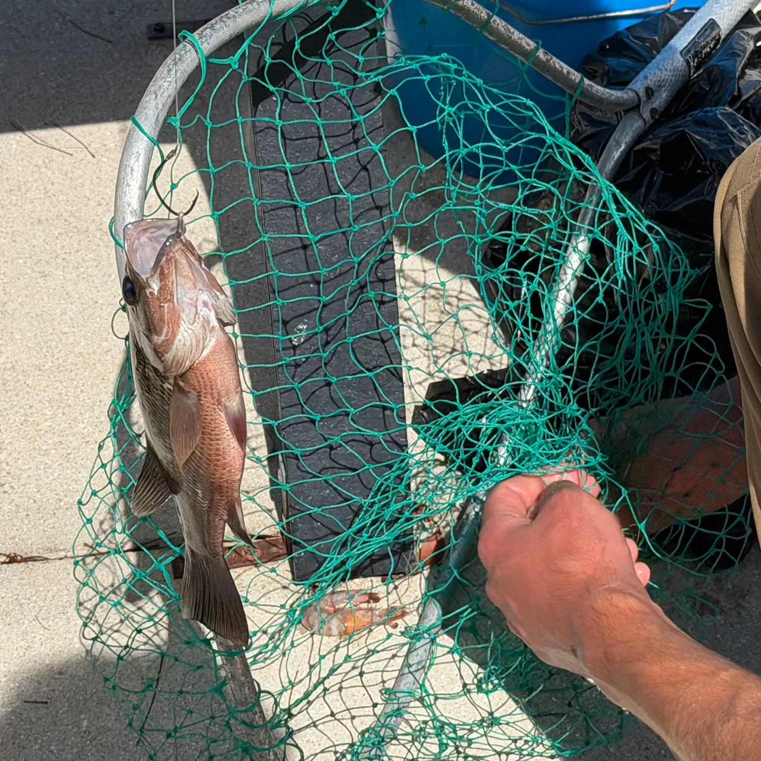 catch
