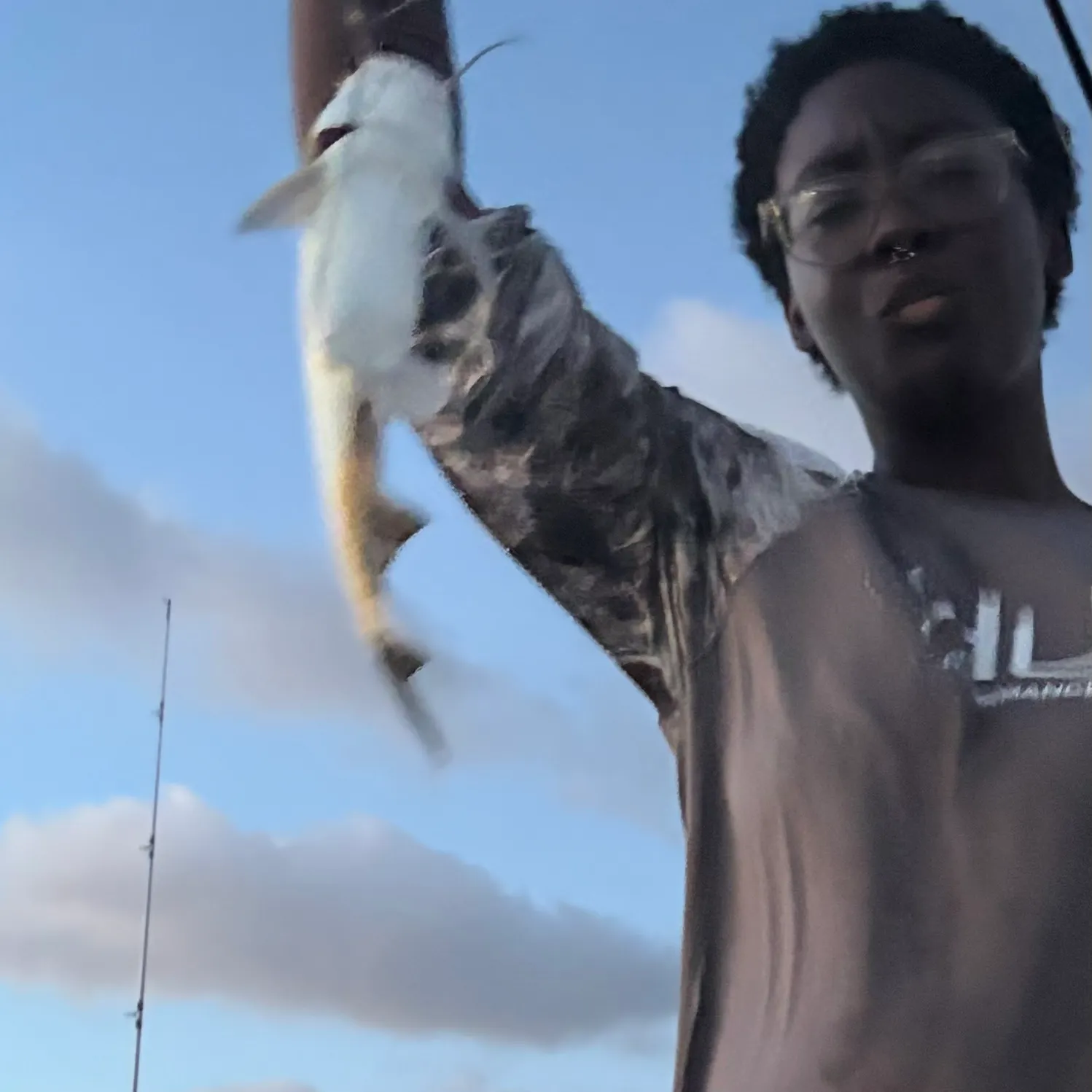 The most recent Hardhead sea catfish catches on Fishbrain