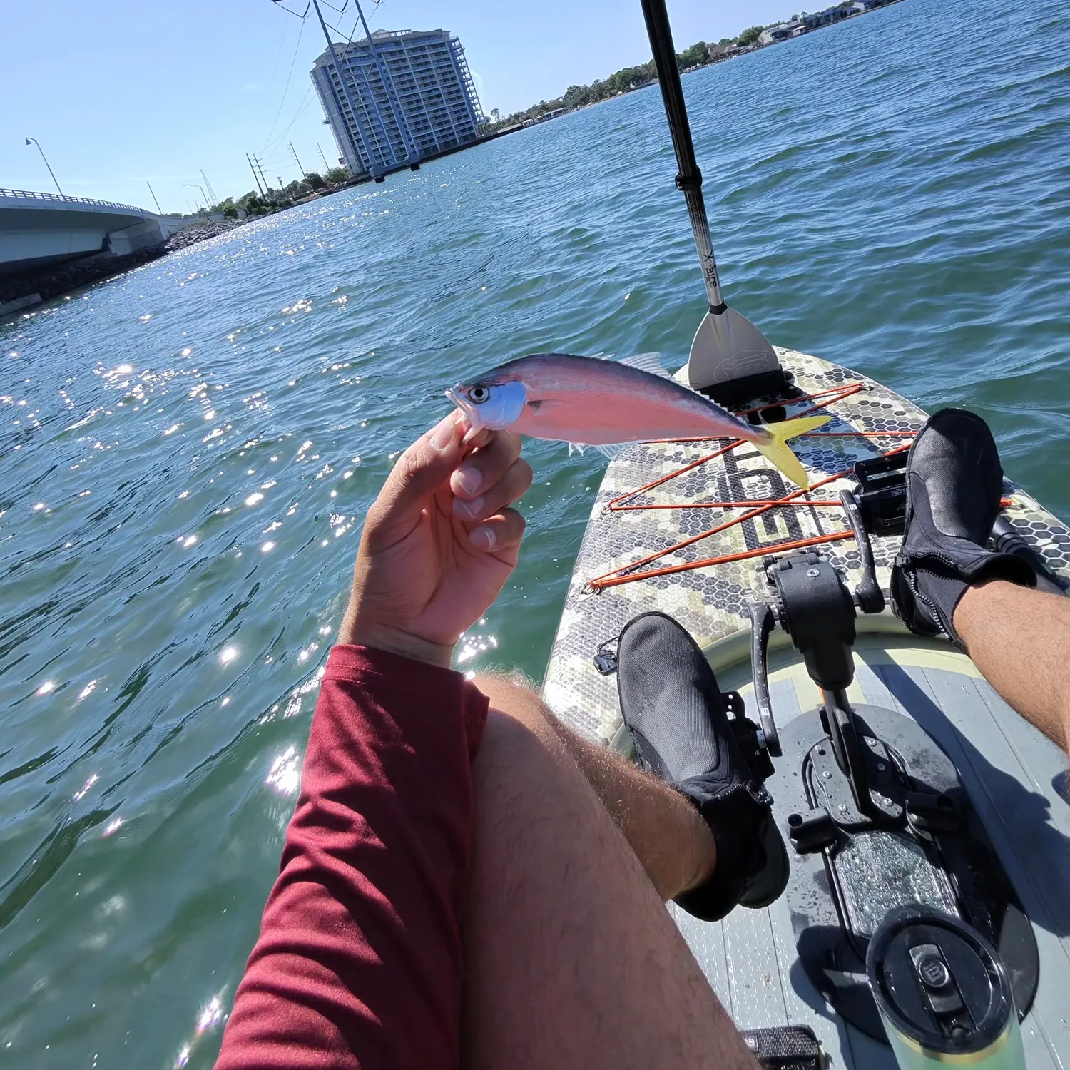 The most recent Leatherjack catches on Fishbrain