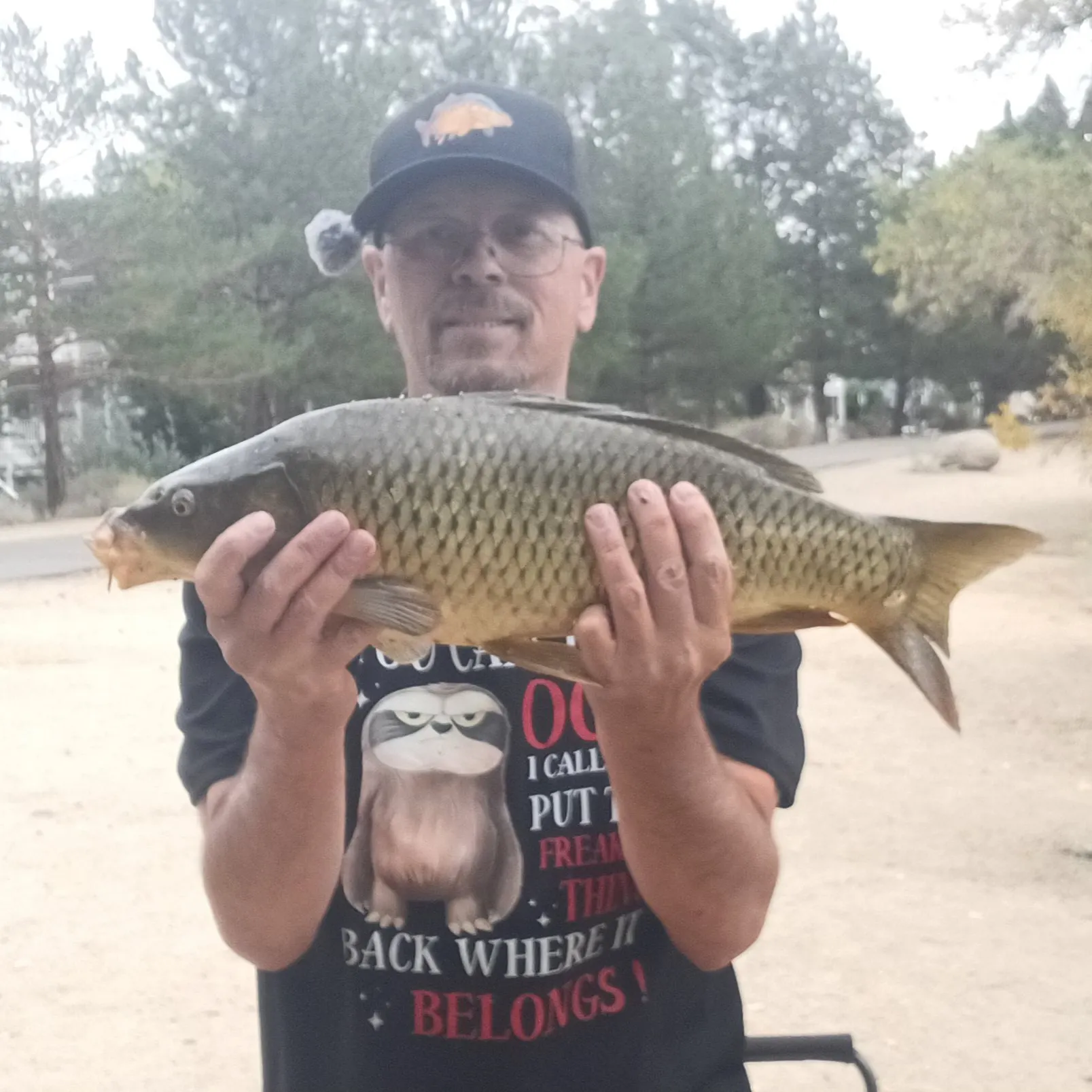 Common carp caught on Fishbrain