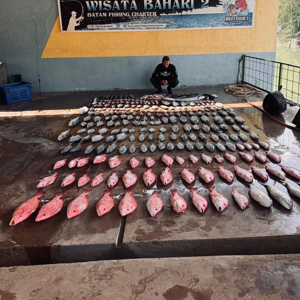 The most recent Talang queenfish catches on Fishbrain