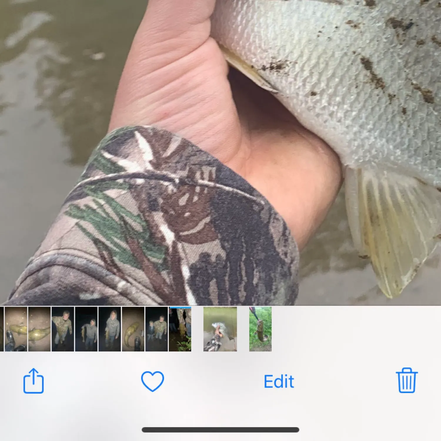 recently logged catches