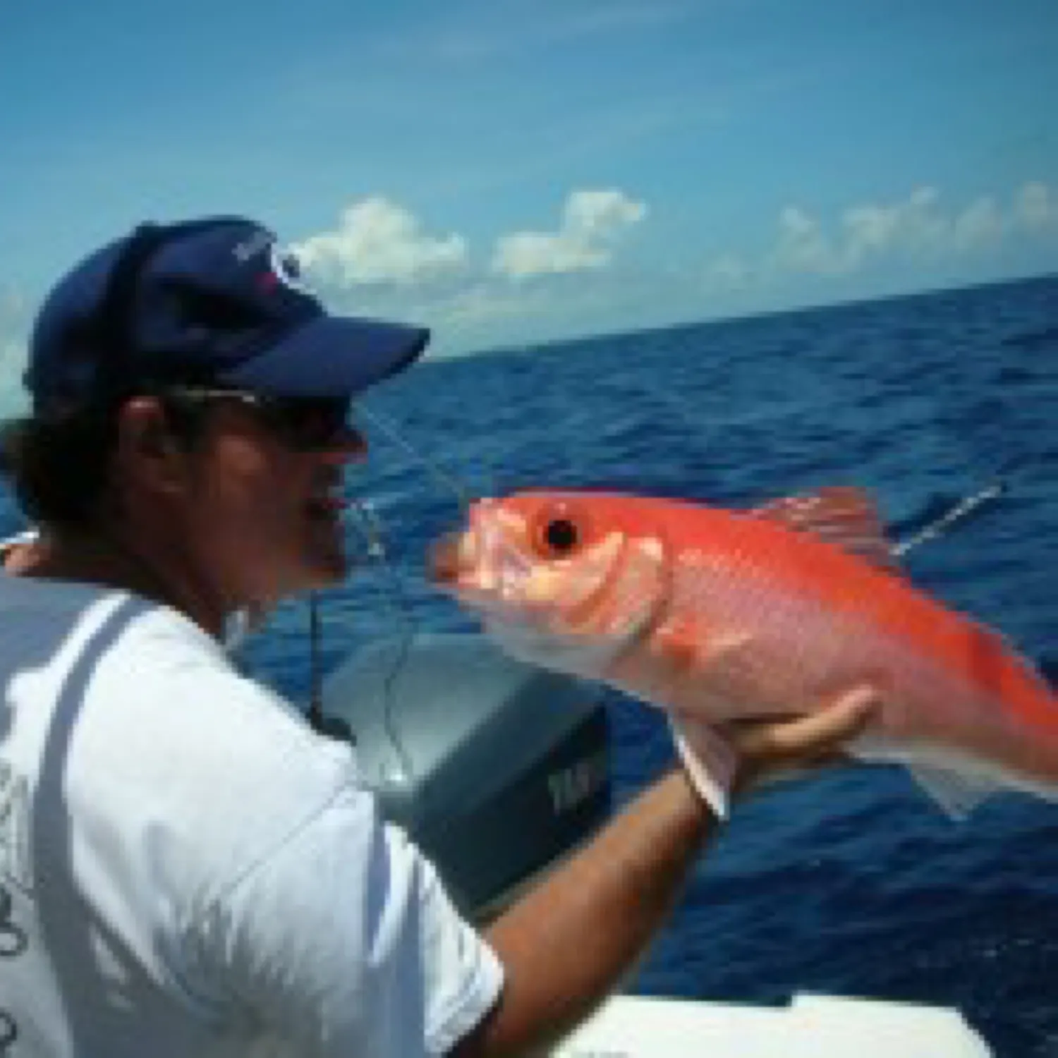 The most recent Leopard coralgrouper catches on Fishbrain