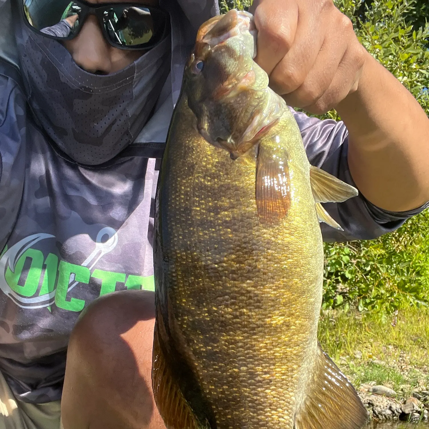Smallmouth bass caught on Fishbrain