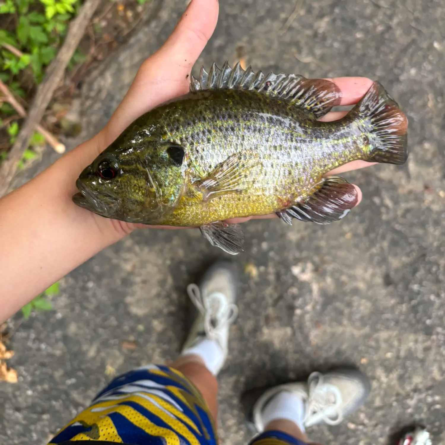 catch