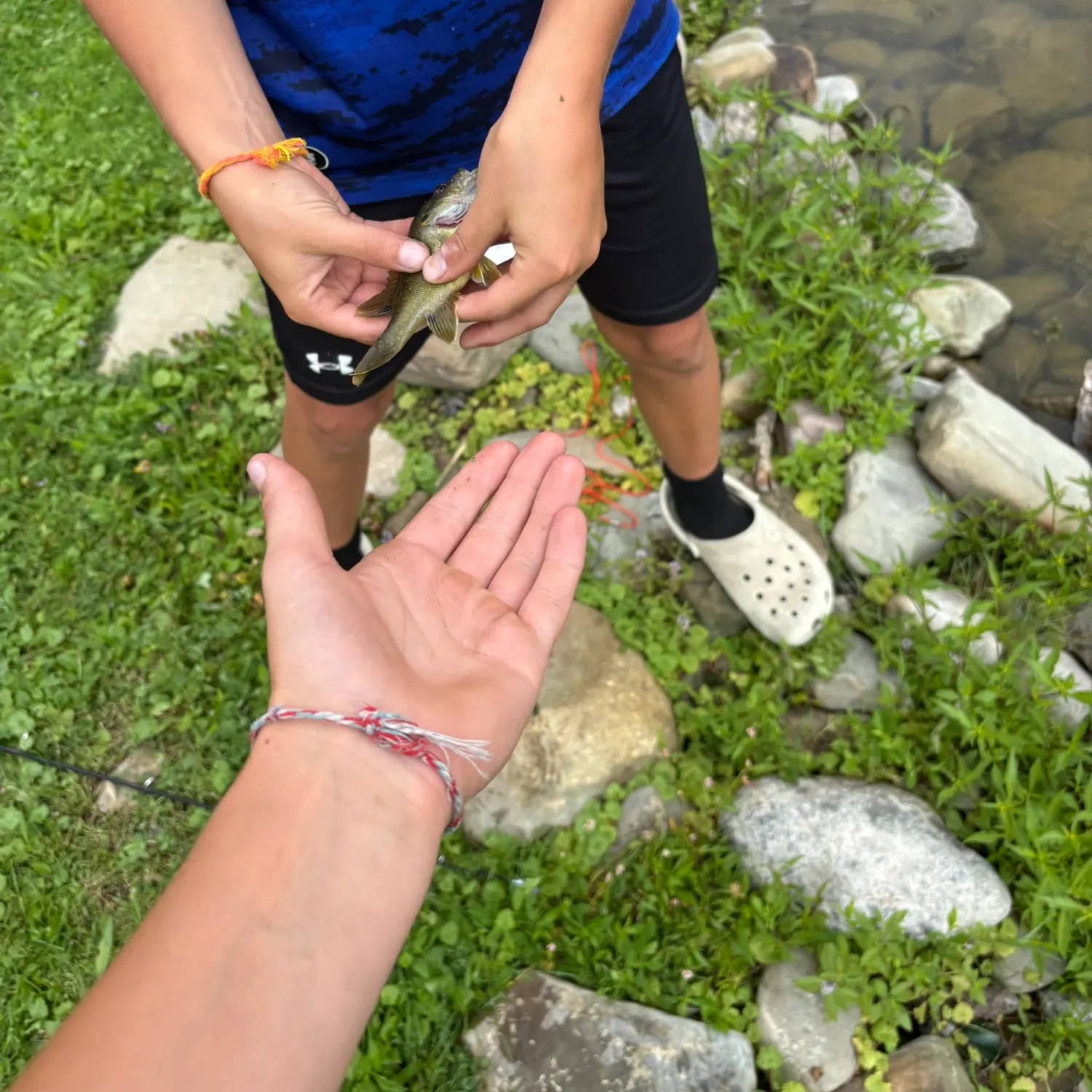 Fish caught on Fishbrain