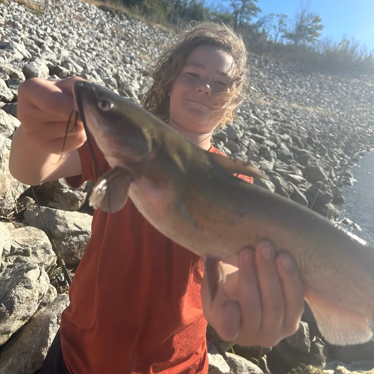 Channel catfish caught on Fishbrain