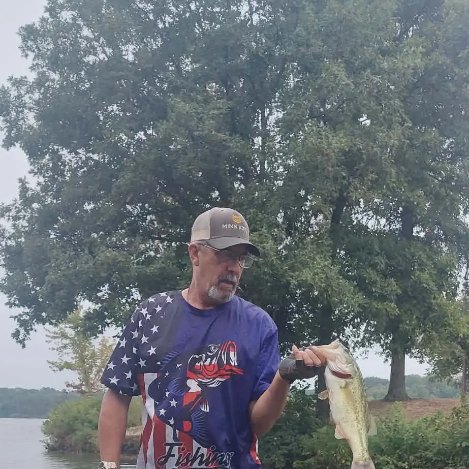 Largemouth bass caught on Fishbrain