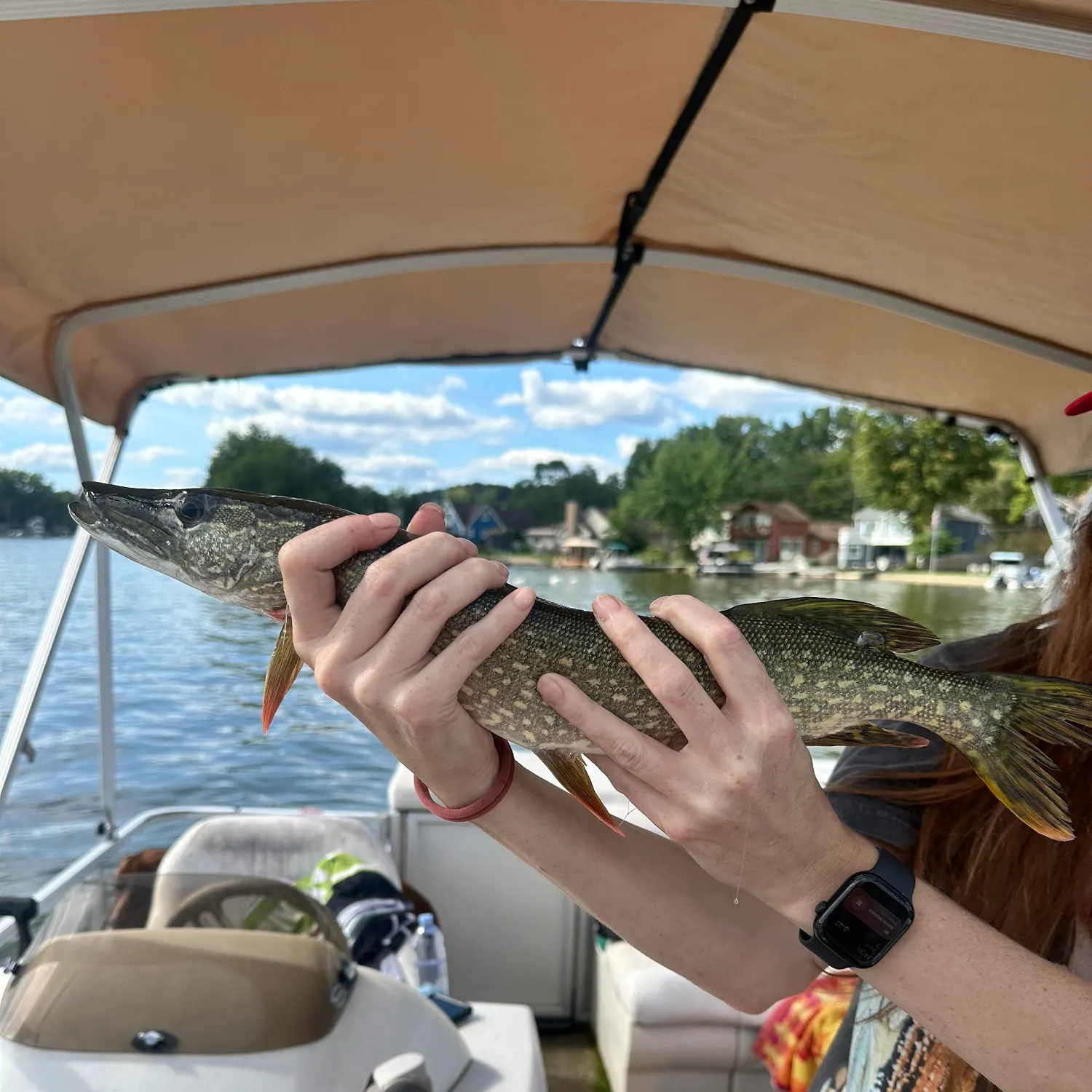 Northern pike caught on Fishbrain