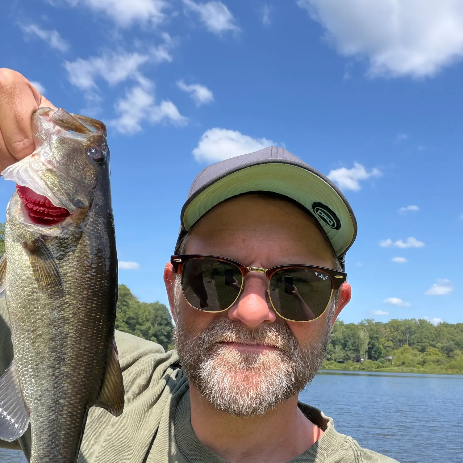 Largemouth bass caught on Fishbrain