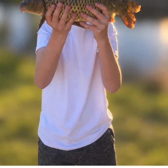 Common carp caught on Fishbrain