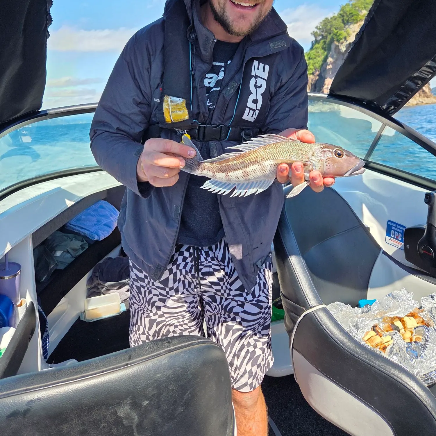 Blue cod caught on Fishbrain