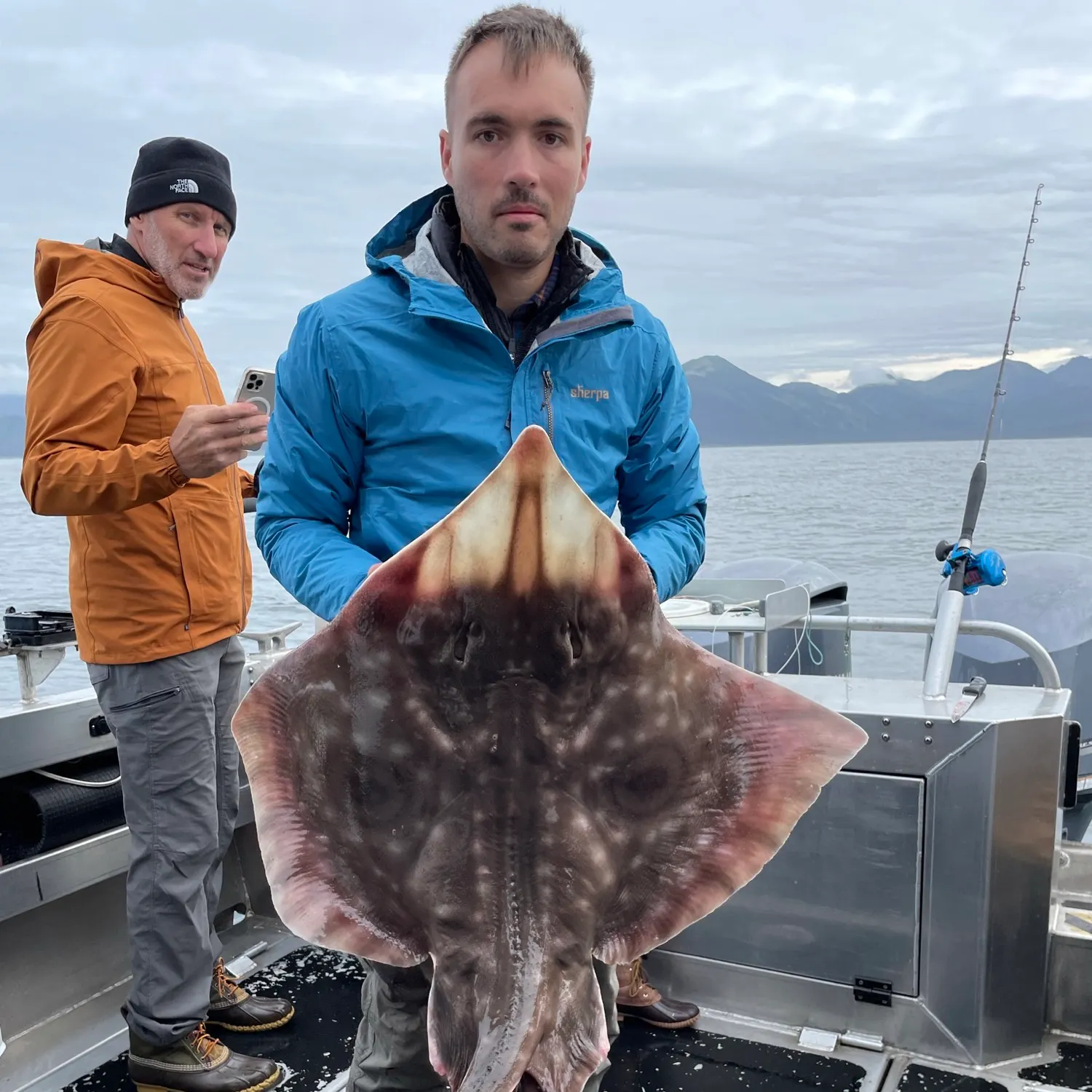 The most recent Big skate catches on Fishbrain