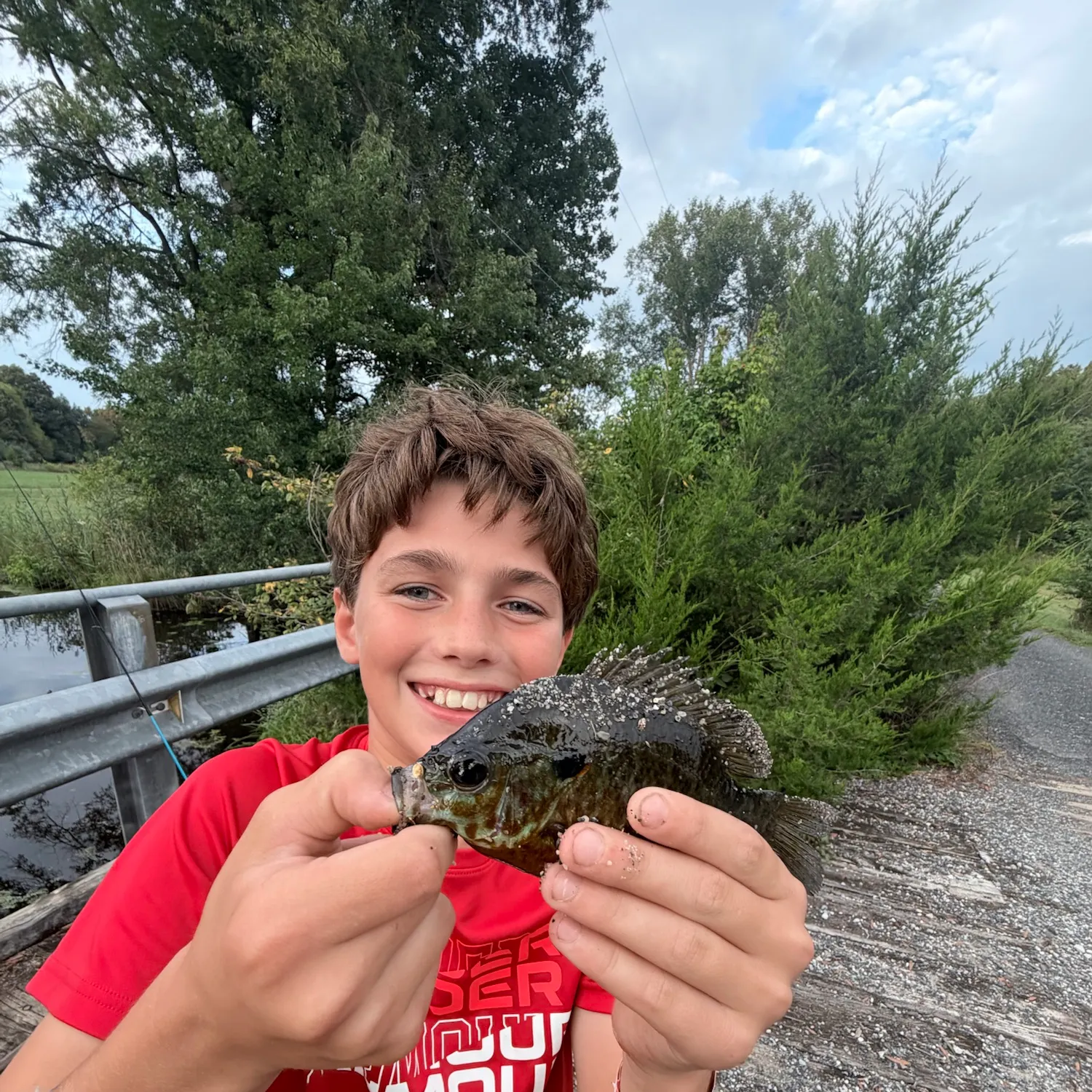 Pumpkinseed caught on Fishbrain